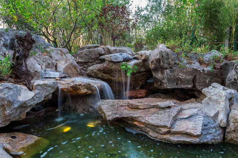 _DSC5395_副本.jpg _DSC5395_副本.jpg